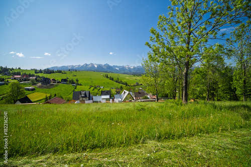 Fototapeta Naklejka Na Ścianę i Meble -  Panoramic view of the snow-capped Tatra Mountains from Rzepiska village in Podhale, Poland. Scenic June landscape with vivid green fields and rural settlement.