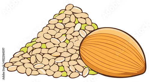 Peeled Almond Pile and Single Almond Nut  Illustration Art