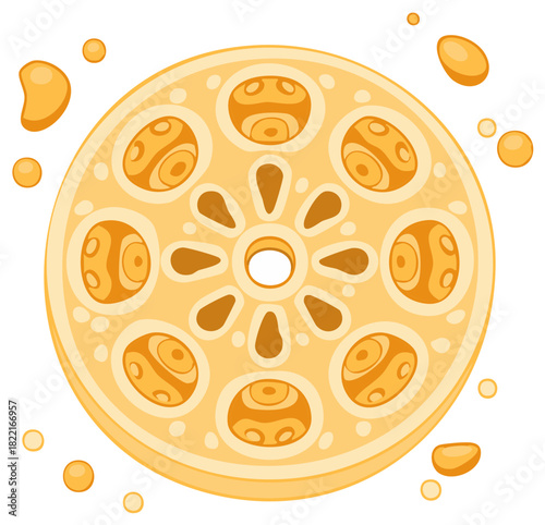 Stylized Slice of Lotus Root with Orange Juice Drops
