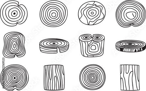 Various outlined wood cuts and cross sections display distinct patterns, showcasing trees rings on a white backdrop