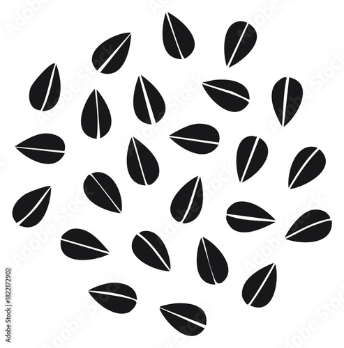 Scattered black sunflower seeds vector graphic illustration isolated on white background
