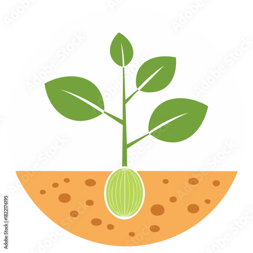 Green plant seedling growing from a seed in brown soil illustration