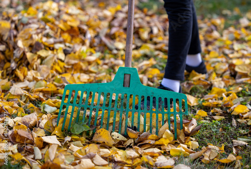 Young person raking fallen autumn leaves outdoor