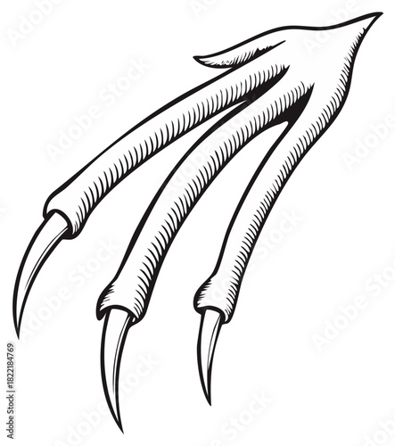 Monochrome claw with sharp nails. Graphic black and white illustration of reptile foot. Scary animal monster hand with fingers