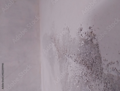 Close-up of black mold or efflorescence (salt deposits) on a white, textured wall surface. A common household problem indicating moisture and dampness issues. Abstract texture background.