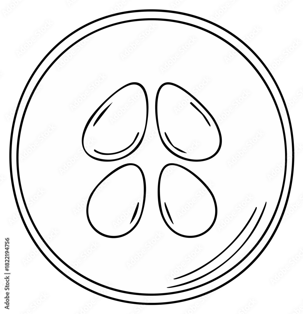 Obraz premium Outline Drawing of Cucumber Slice Cross Section with Seeds