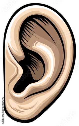 Illustration of human ear anatomy with outer ear and inner ear details for auditory system awareness