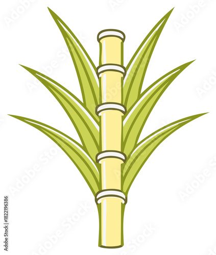 Stylized sugarcane stalk with green leaves, farm crop illustration, sweet raw ingredient, tropical plant vector drawing