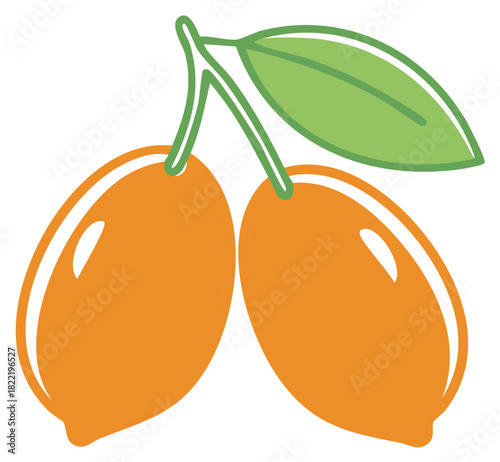 Illustration of Two Orange Fruits with Green Leaf, Isolated