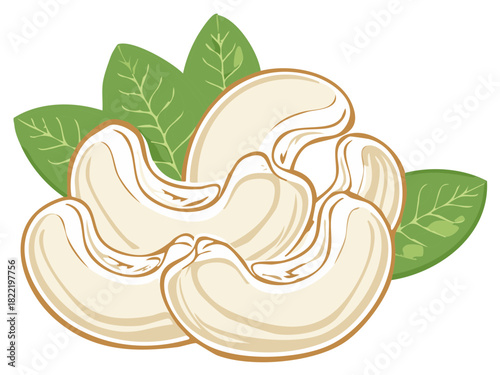 Cashews and Green Leaves Illustration, Healthy Snack or Ingredient Concept
