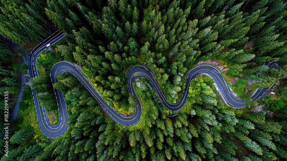 Obraz premium Serpentine road winding through dense green coniferous forest, aerial drone view landscape