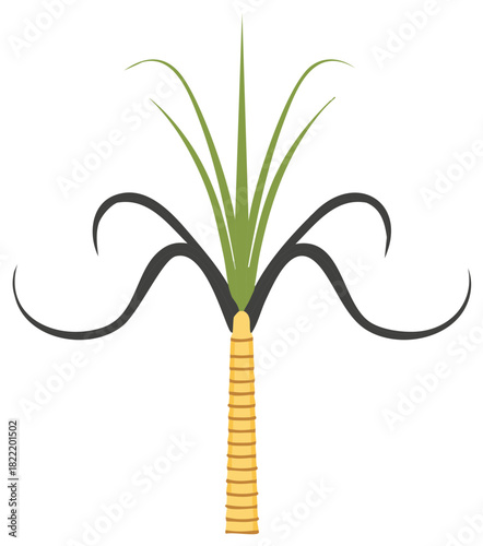 Stylized palm tree featuring stylized green fronds and dark flowing leaves, exotic nature illustration