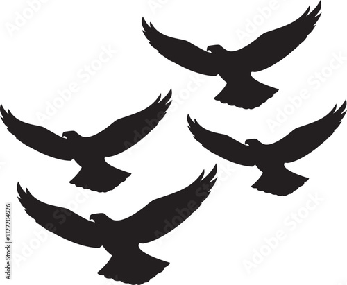 Four black eagle silhouettes flying, isolated on a white background