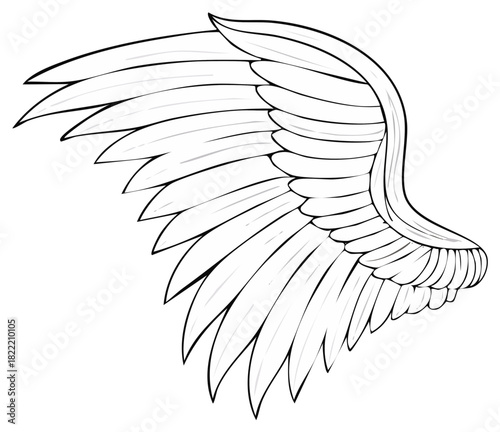 Single detailed angel wing outline drawing with graceful feather structure