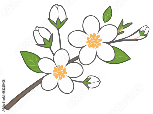 Elegant White Flowers with Yellow Centers and Green Leaves Blossom on a Twig, Floral Design