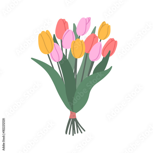 Tulip flower bouquet vector illustration isolated on white.