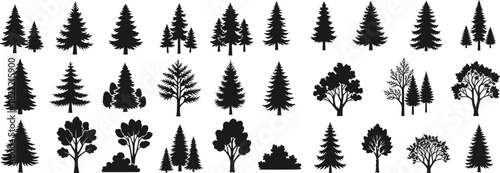 Overgrown patch. Coniferous forest with firs and pines. Landscape with trees and grass. Silhouette picture. Isolated on white background. Vector.
