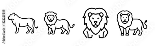 Majestic lion head vector illustration majestic king of the jungle