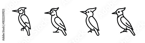 Charming vector illustration of a woodpecker with bold lines and a colorful body