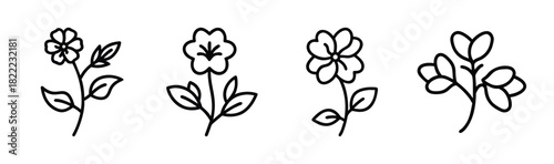 Scalable vector illustration of a single purslane leaf with stem