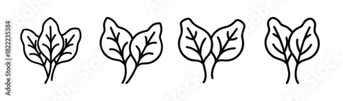 Fresh spinach leaves vector illustration icon food healthy green