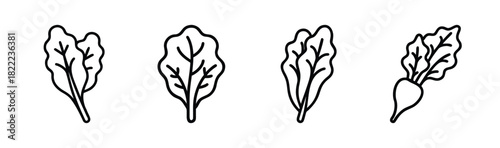 Fresh vector swiss chard leaf illustration scalable healthy food graphics