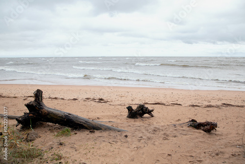 A view of the Gulf of Finland coast in cloudy weather