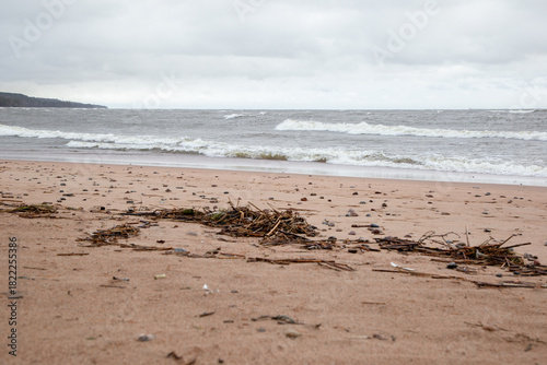 A view of the Gulf of Finland coast in cloudy weather