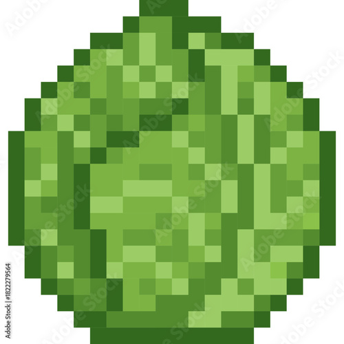 cauliflower isolate pixel illustration design