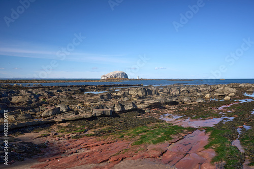 A vivid coastal scene along Seacliff Beach, with red rock pools and a lone island on the horizon.