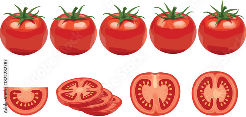 Fresh whole and sliced tomato vector set with juicy textures, detailed illustrations, and vibrant red color for food designs