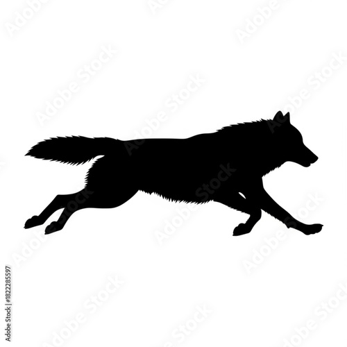 Silhouette of a wolf in mid stride with its tail extended and paws off the ground in a side view