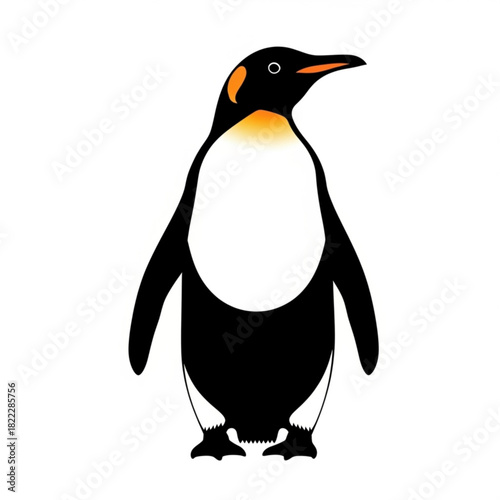 Illustration of a single emperor penguin standing upright with white chest and black plumage isolated
