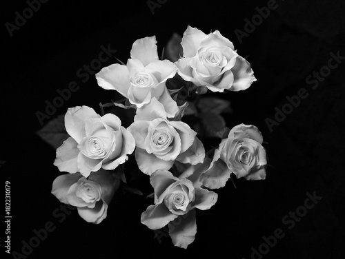 white roses on black background