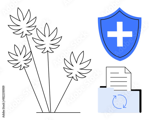 Cannabis leaves, medical shield with cross, file in sync loop folder. Ideal for medical cannabis, healthcare, security, digital storage, data privacy technology nature. Simple flat metaphor
