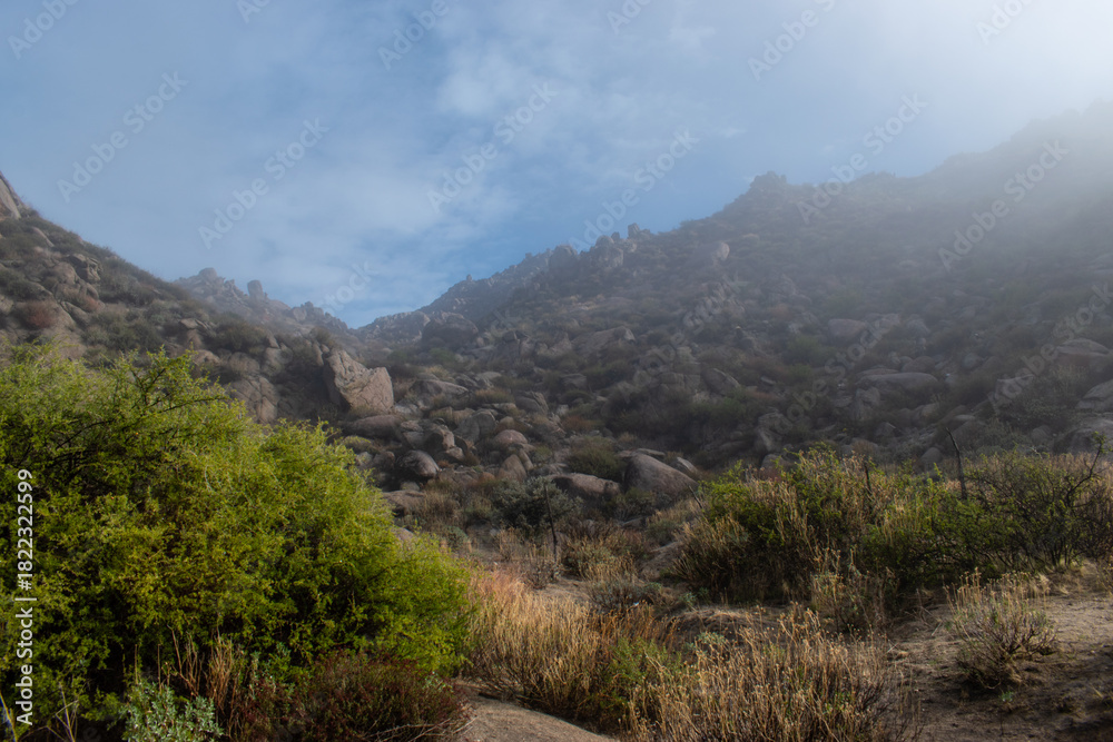Naklejka premium mountain landscape with clouds