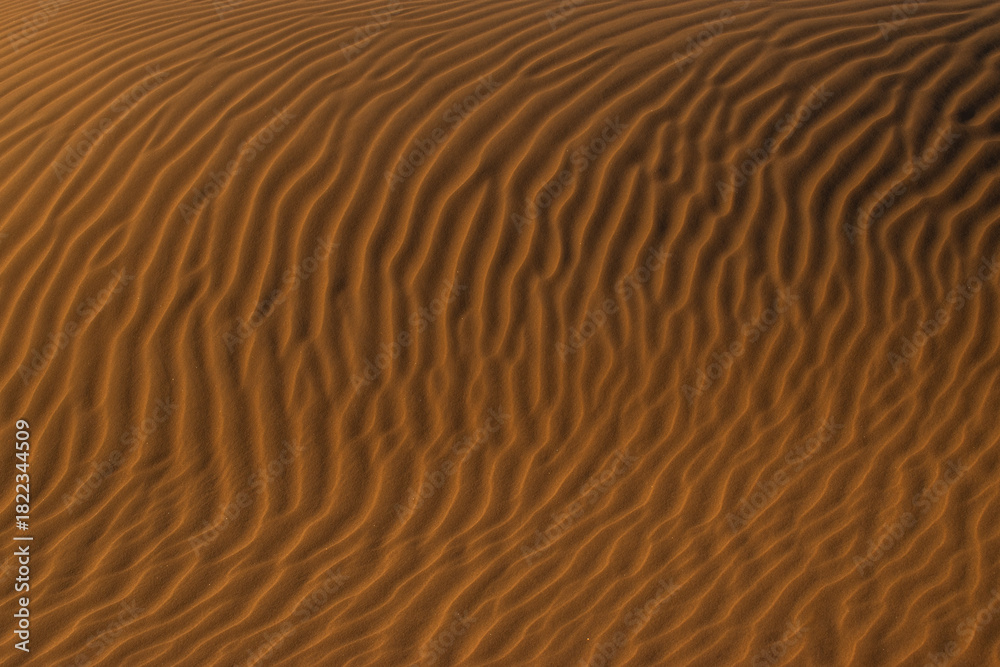 Obraz premium sand dune texture