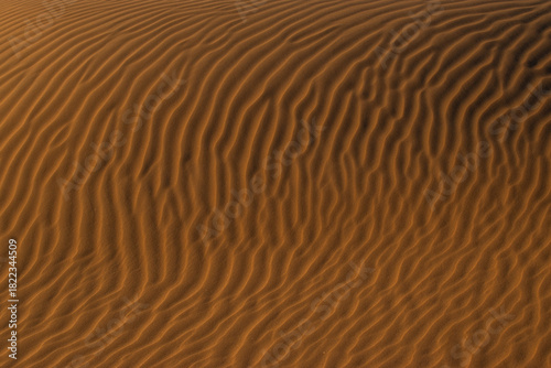 Fototapeta Naklejka Na Ścianę i Meble -  sand dune texture