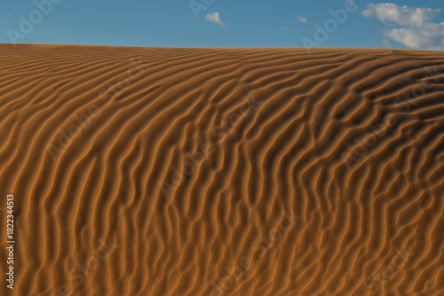 Fototapeta Naklejka Na Ścianę i Meble -  sand dunes and sky