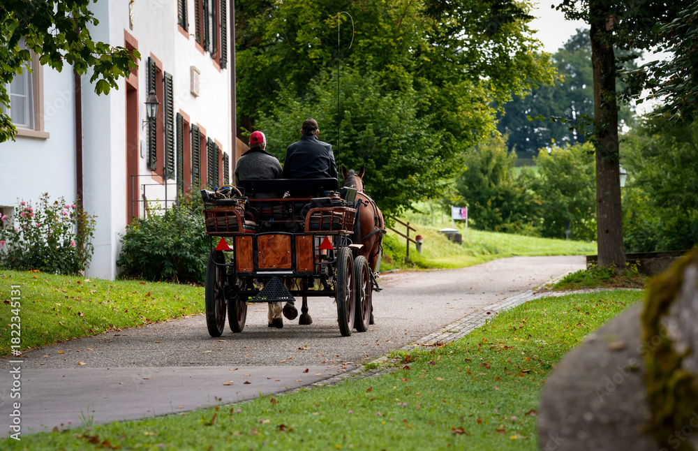 Obraz premium An elderly couple enjoys a horse-drawn carriage ride along the Olsberg country road (Switzerland) Beautiful autumn. A quiet place for outdoor activities. A traditional moment in a rural autumn area. 