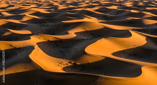 Fototapeta Naklejka Na Ścianę i Meble -  Desert sand dunes landscape background golden hour sahara nature travel adventure scenic arid wilderness morocco
