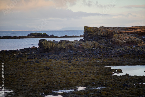 Quadro su tela Rocky coastal landscape at low tide, Iceland