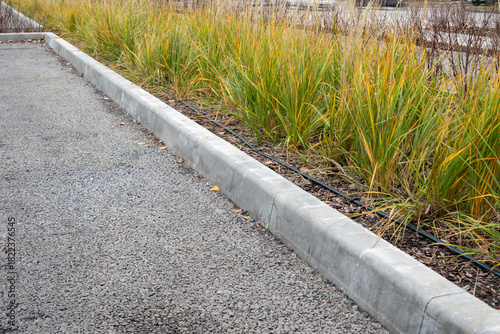 Concrete curb separating asphalt path from ornamental grass bed with drip irrigation. Landscape design, property maintenance, hardscape edge. Real photo
