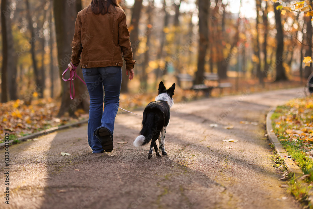 Obraz premium Woman walking her cute dog in autumn park, closeup. Space for text