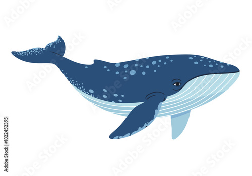 Illustration of a majestic blue whale swimming gracefully through the ocean, a symbol of marine life and ocean exploration