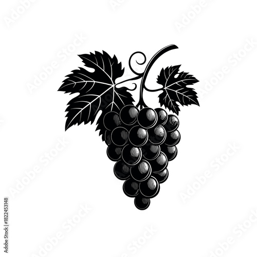Grapes silhouette Logo vector line art logo design
