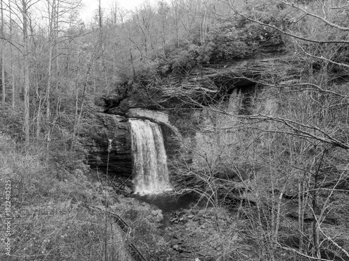 Monochrome waterfall shot in Autumn.