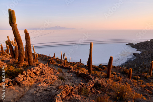 Tall cacti stand on the rocky terrain of Isla Incahuasi, overlooking the expansive Salar de Uyuni. The salt flats meet the horizon in a soft, colorful sunset.
