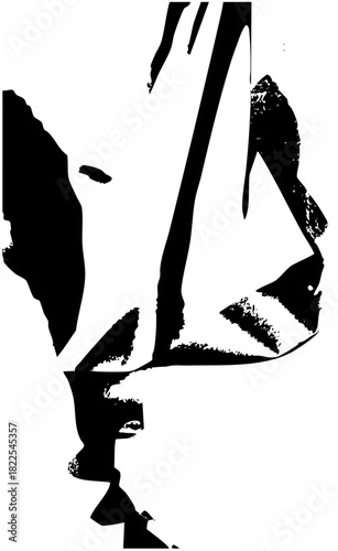 Face Portrait Illustrates Introspection in Minimalist Design