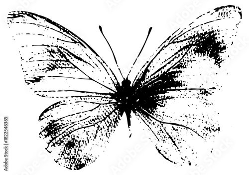 Butterfly texture in illustration